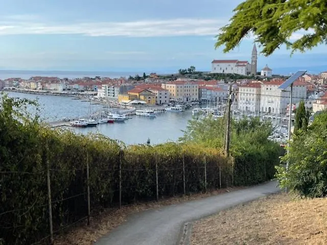 Cliff Apartamento Piran